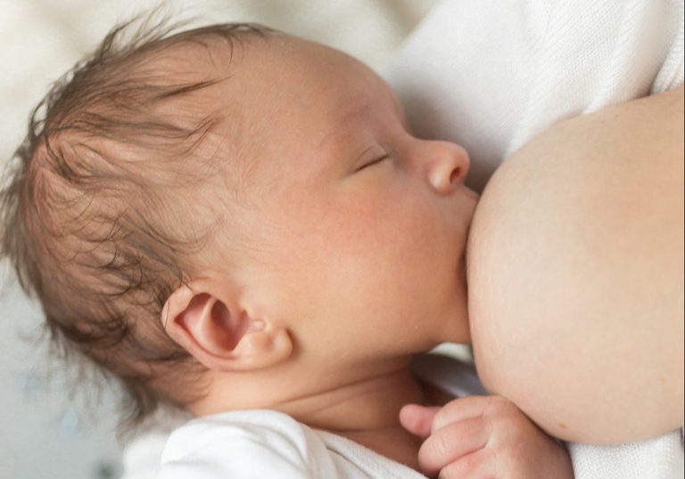 leche league allattamento