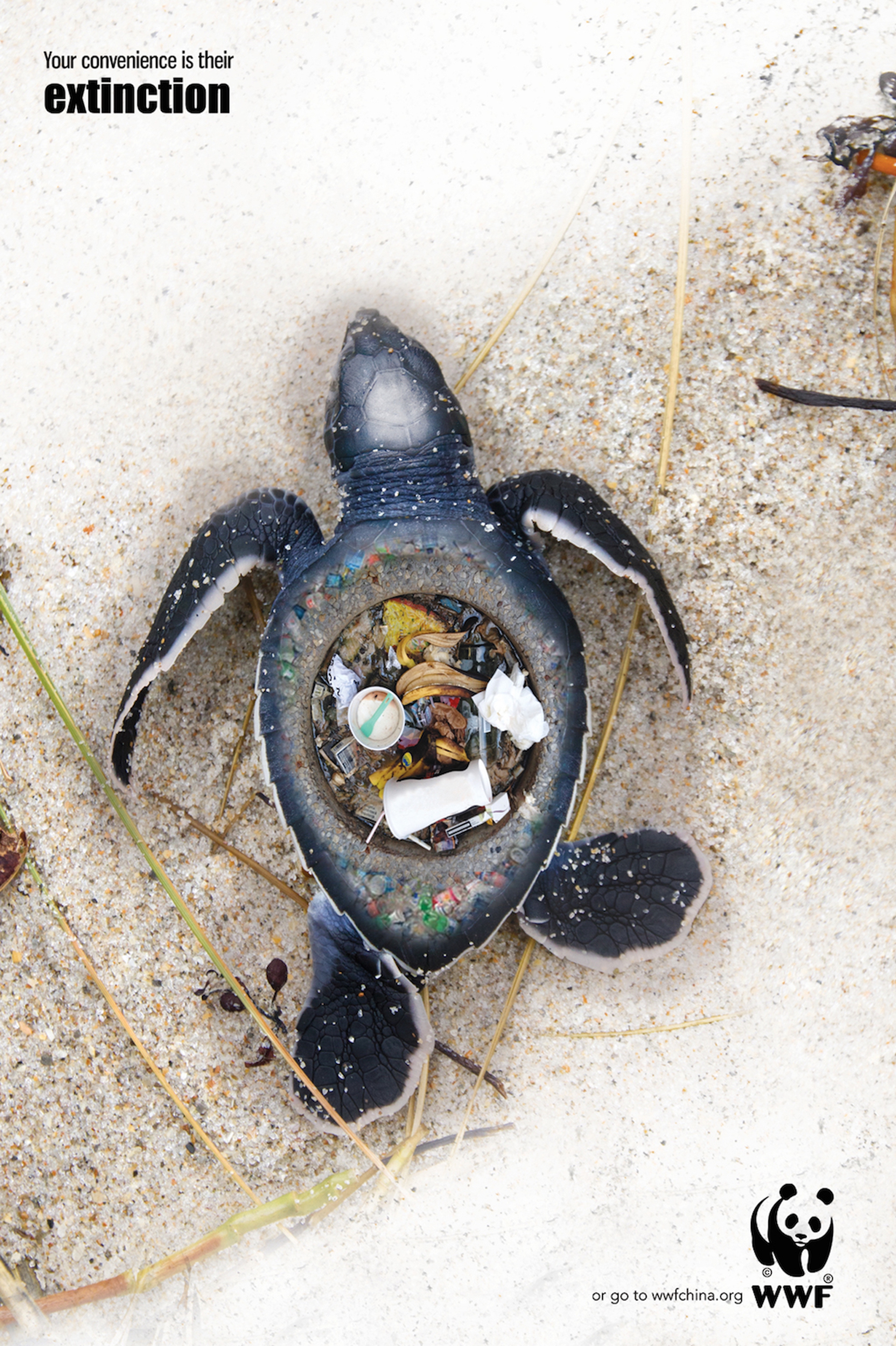 turtle-fake-wwf-campaign