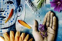 Sacro e profano della fitoterapia