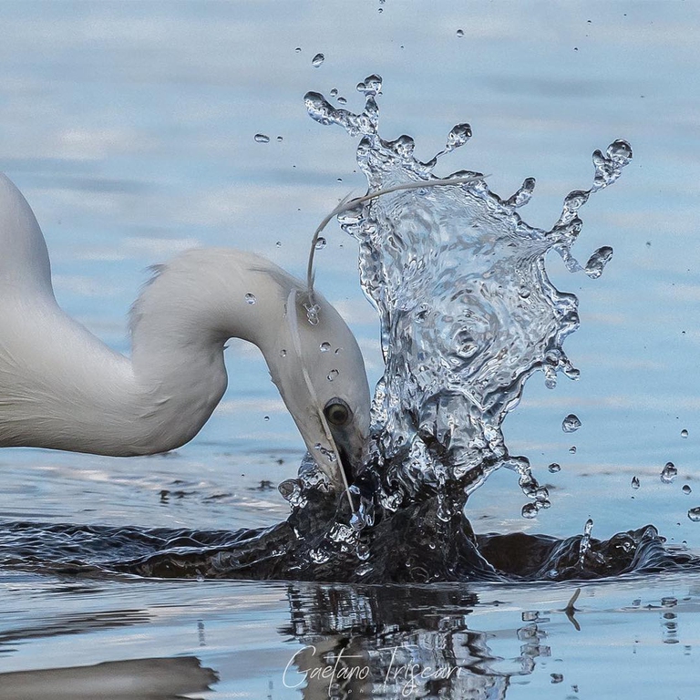 Gaetano Triscari, le forme dell'acqua, Instagram