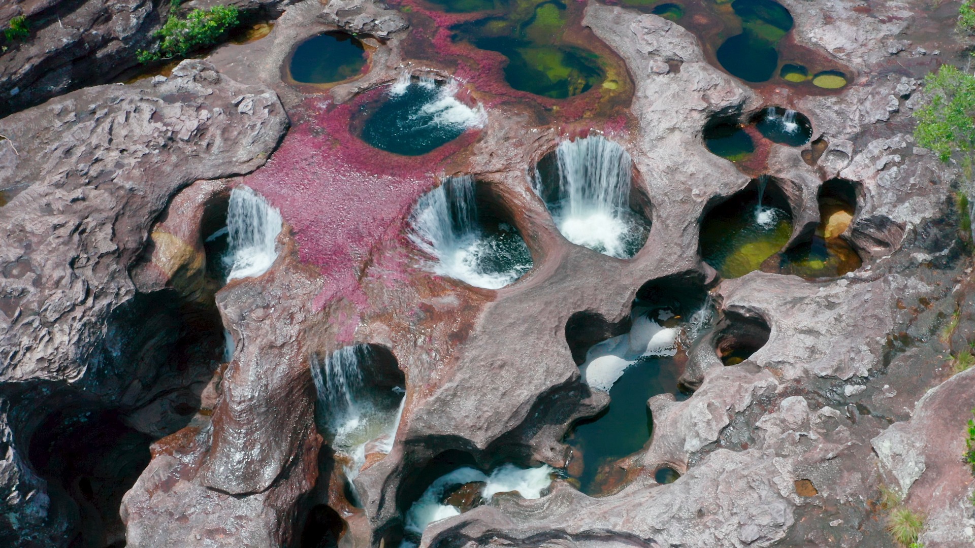 Le cascate del Caño Cristales