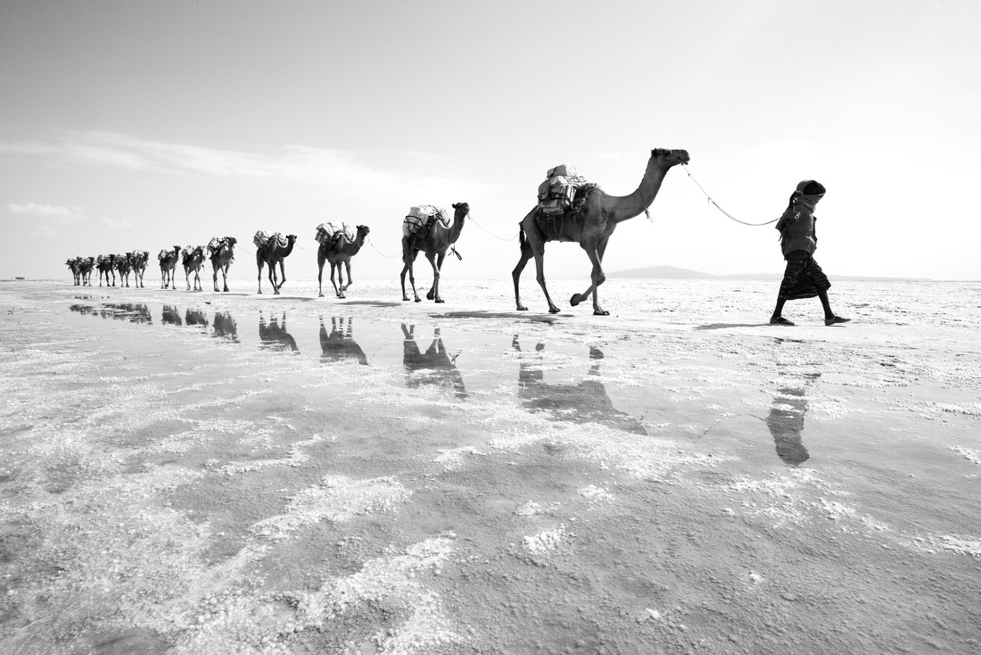 Scatti fatti durante i viaggi di Mille battute