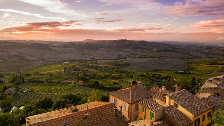 vineyards-tuscany