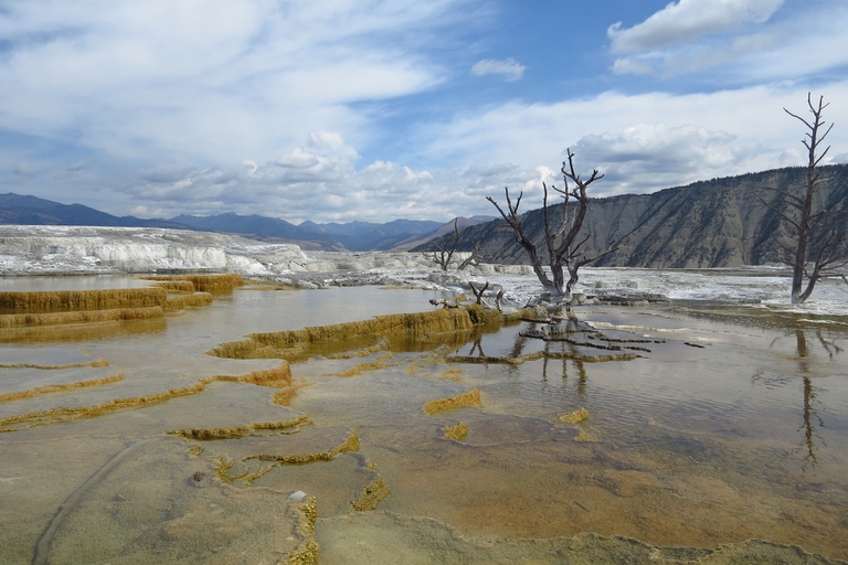 Mammoth Hot Springs