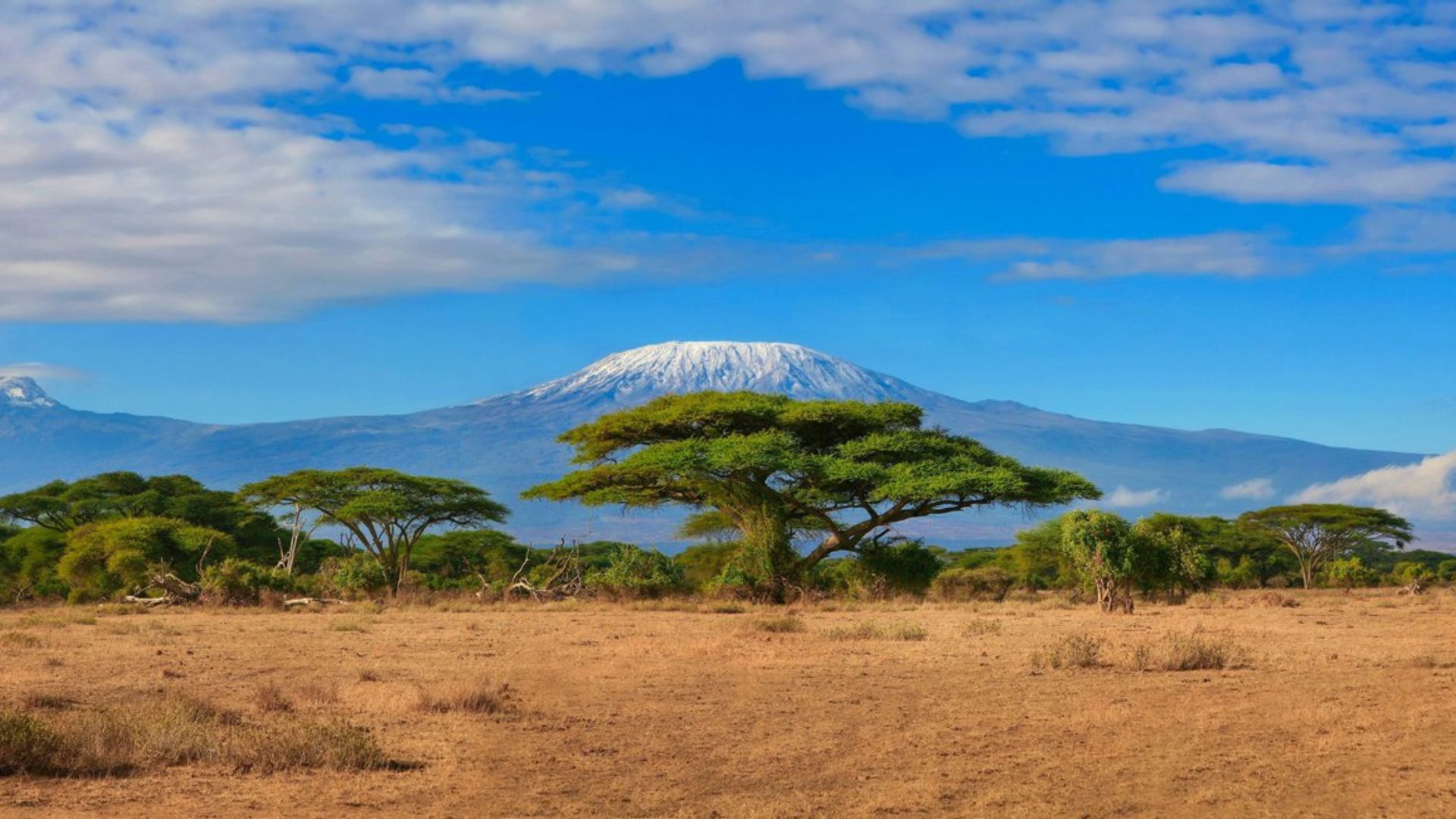 Kilimanjaro Tanzania