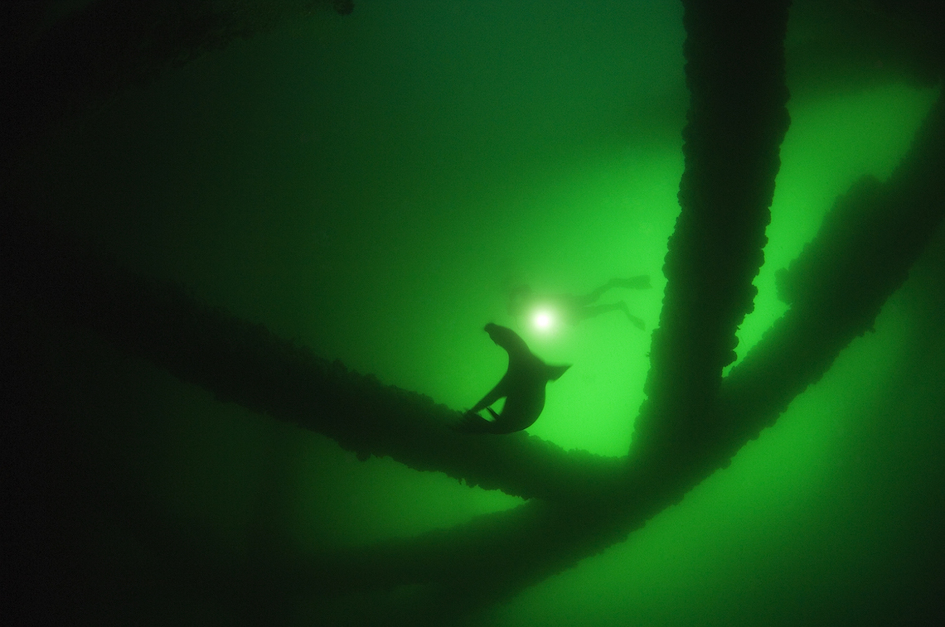 Marine renewable energy development