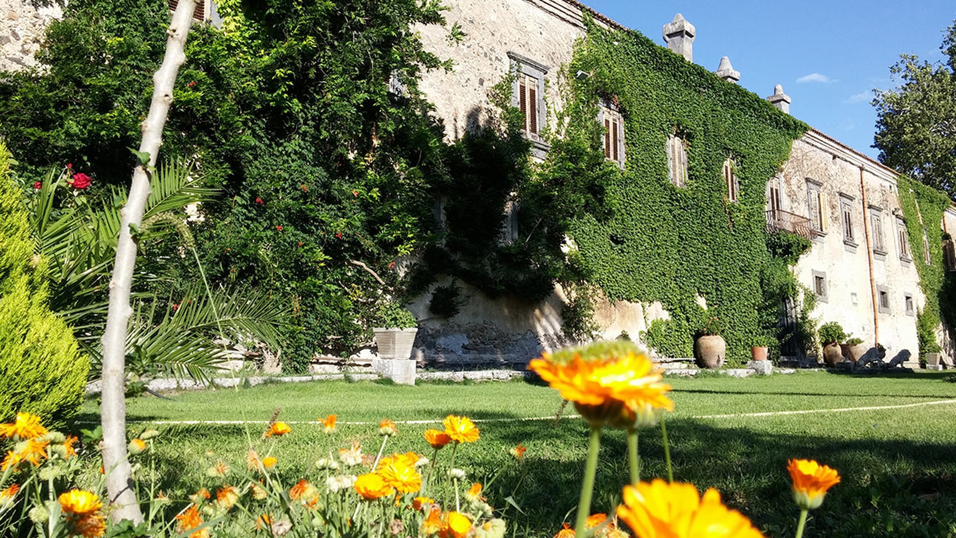 Castello-Nelson-foto-Giuseppe-Sanfilippo