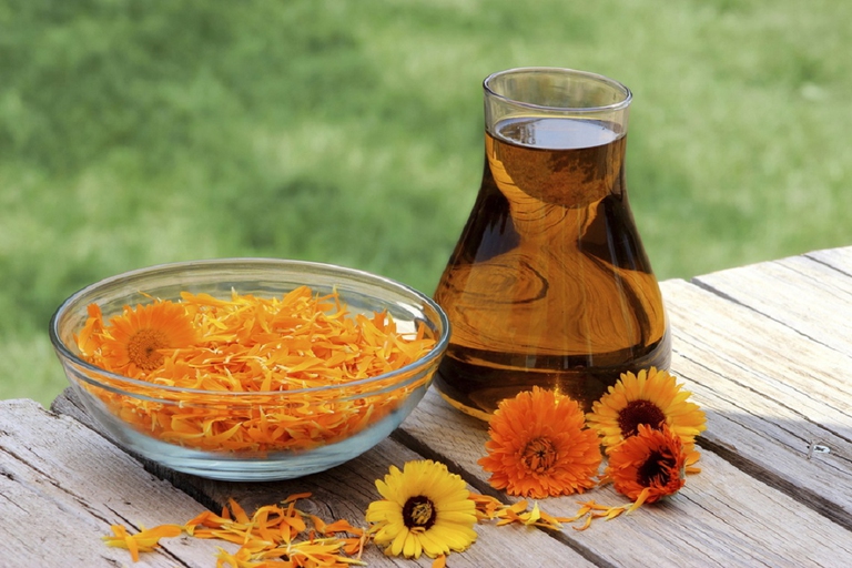 calendula