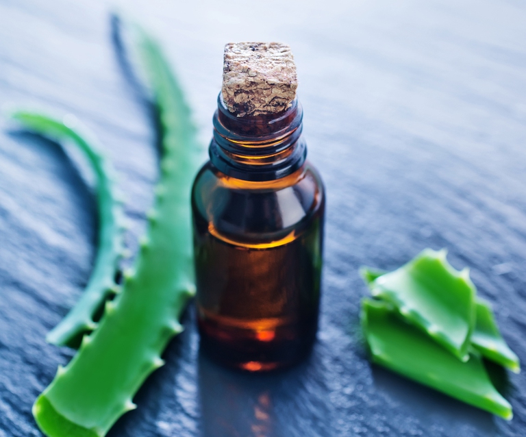 aloe vera