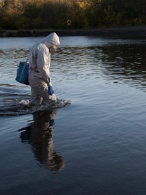 Kamchatka, an ecological disaster is causing mass death of marine wildlife