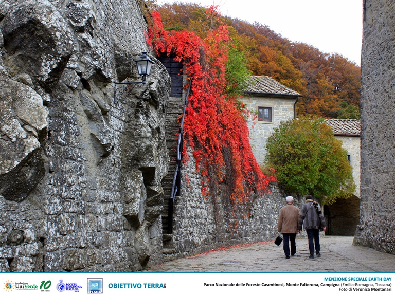 Earth day, Obiettivo Terra
