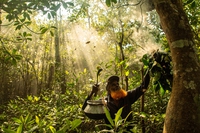 Le foto vincitrici del concorso fotografico sulle foreste di mangrovie