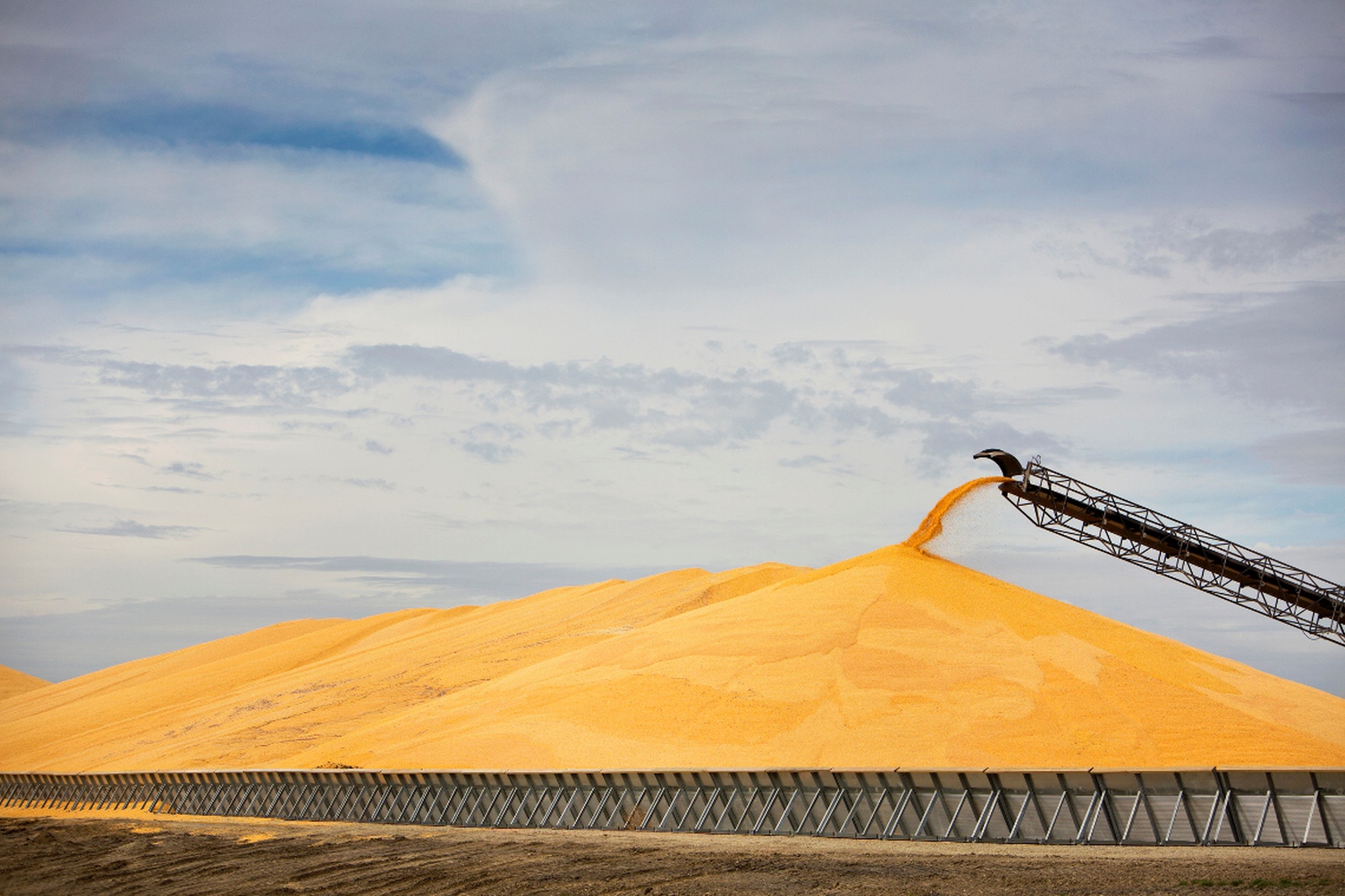 Corn ethanol, how it harms the climate and destroys the American Great Plains