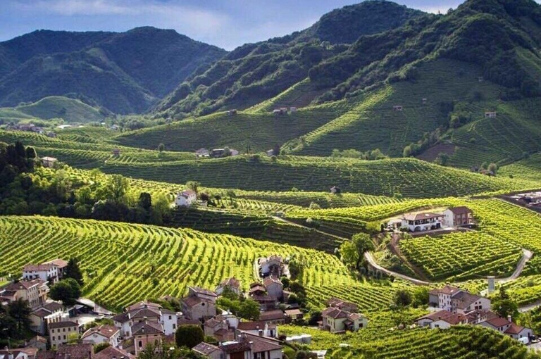 Terre del Prosecco