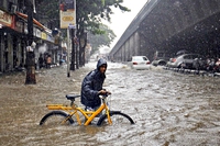 L’India è sott’acqua, monsone uccide centinaia di persone e numerosi rinoceronti