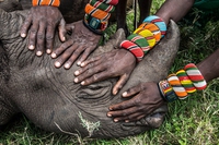 The winners of World Press Photo 2015