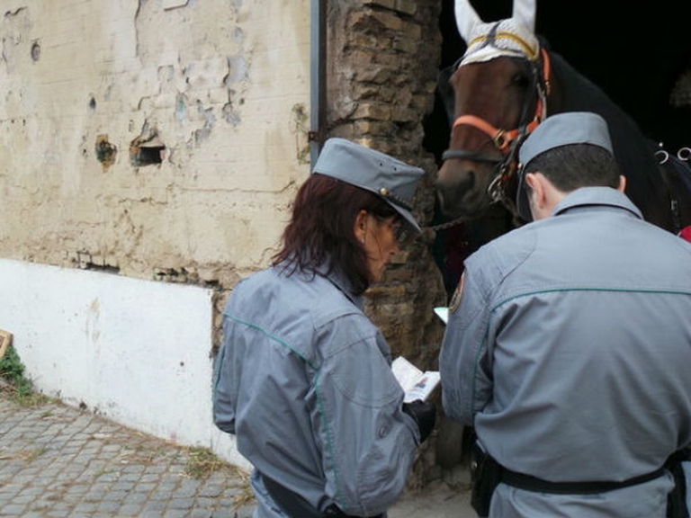 resized-20141027_072025