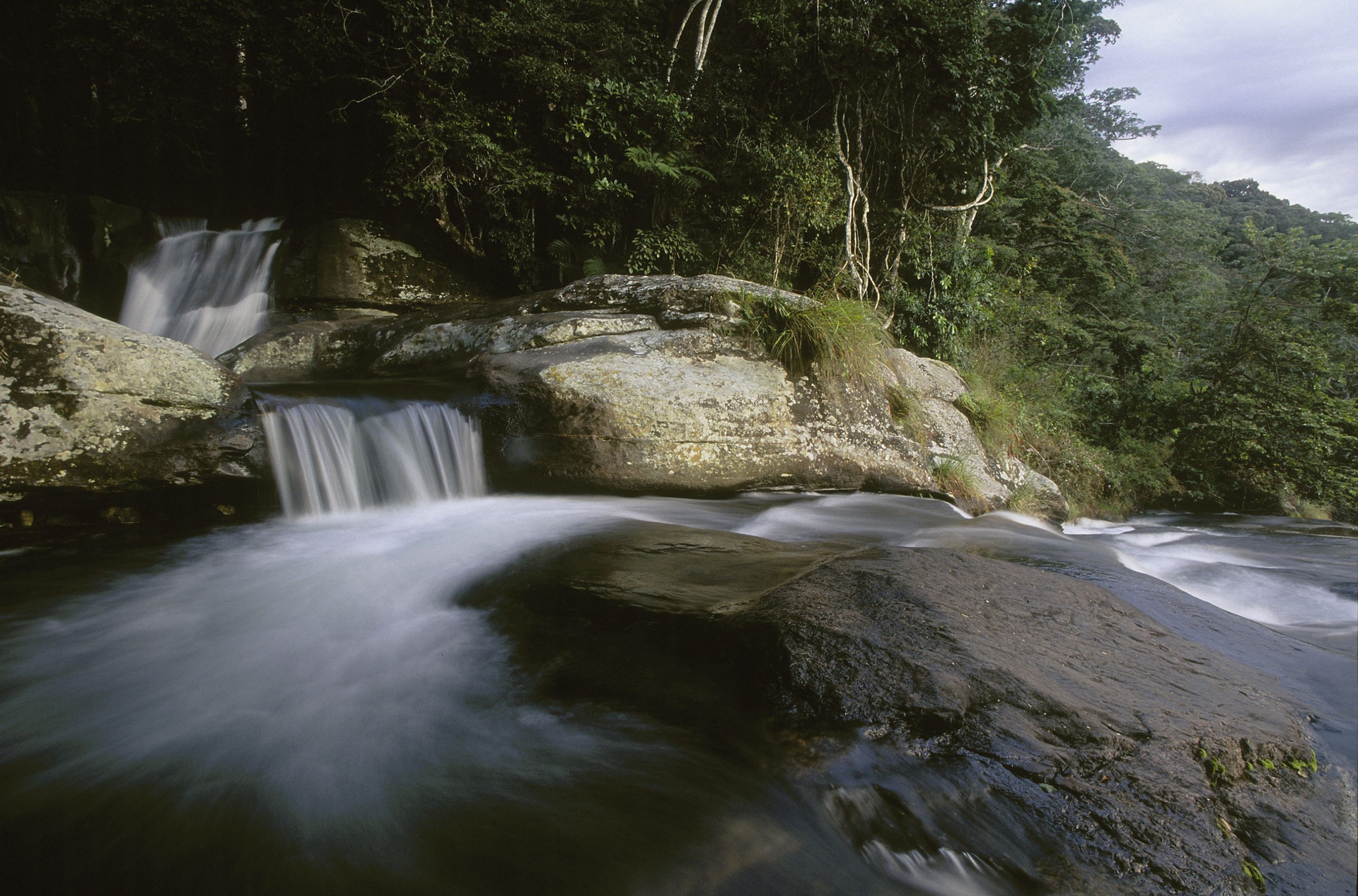 Wwf Patrimonio Mondiale4