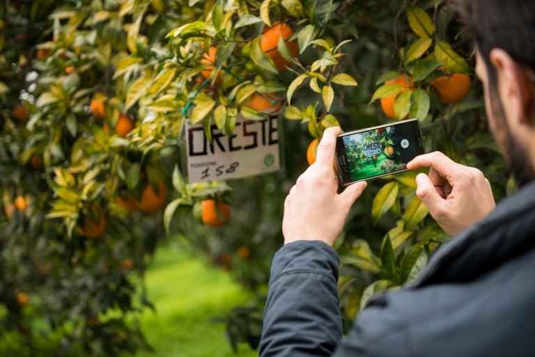 Save the Farm, Biorfarm