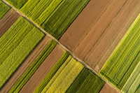 Politica agricola comune, la sua revisione rappresenta una vittoria degli agricoltori coi trattori