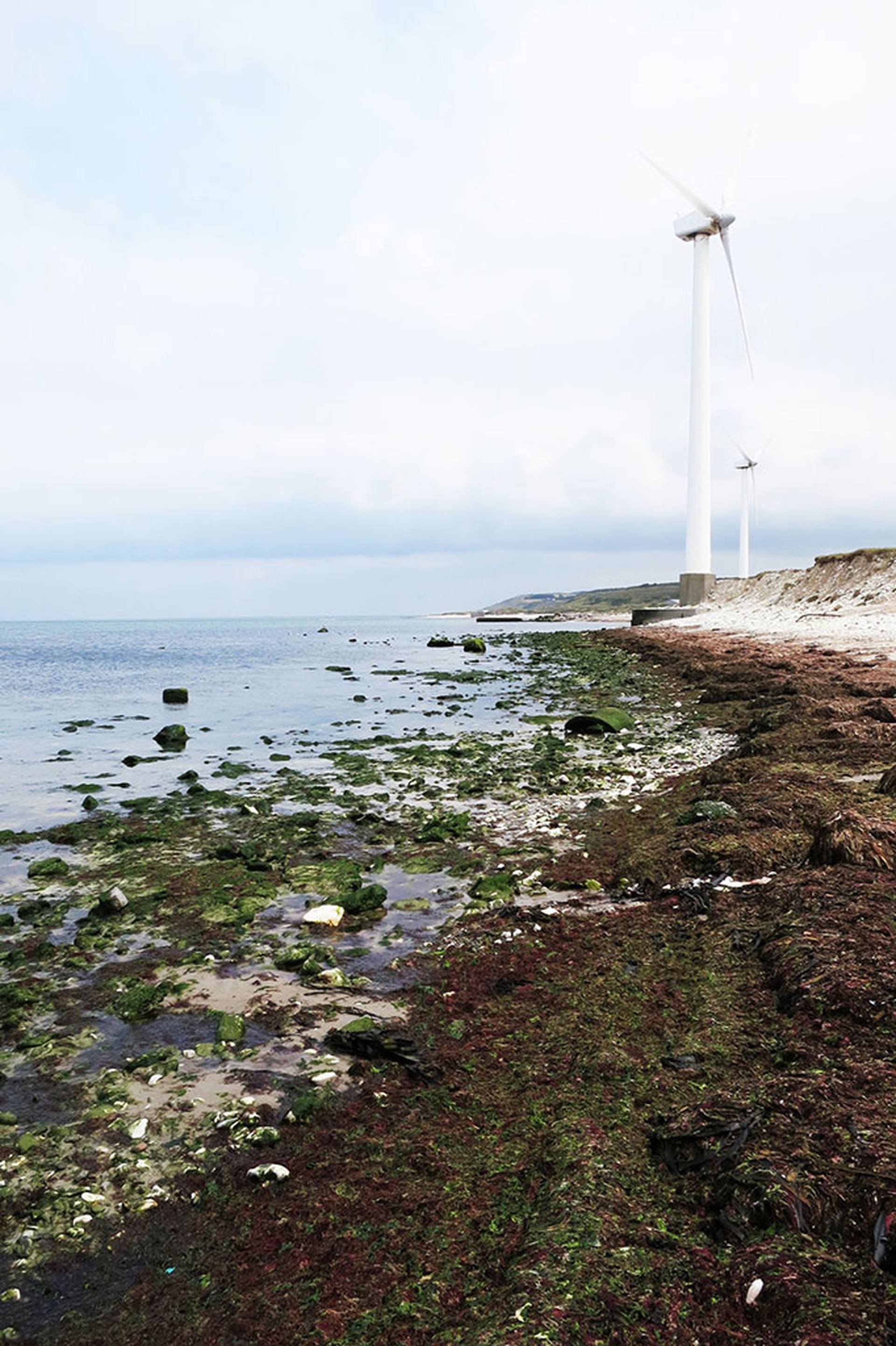 6-Terroir_material_seashoreJO_web_1800