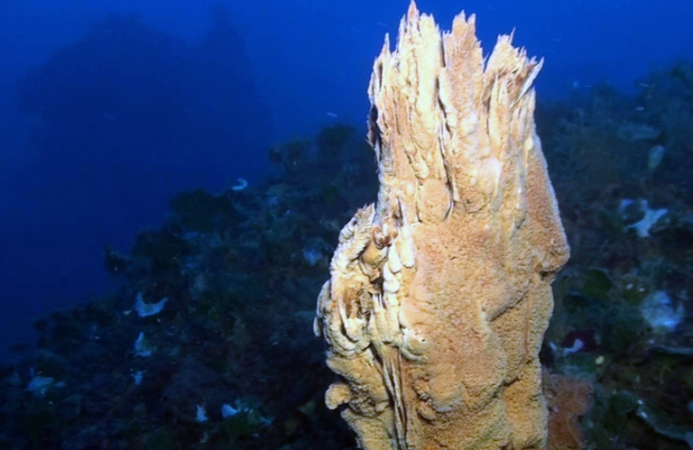 smoking land eolie camini vulcanici