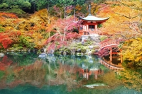 Viaggio in Giappone attraverso l’armonia dei suoi giardini