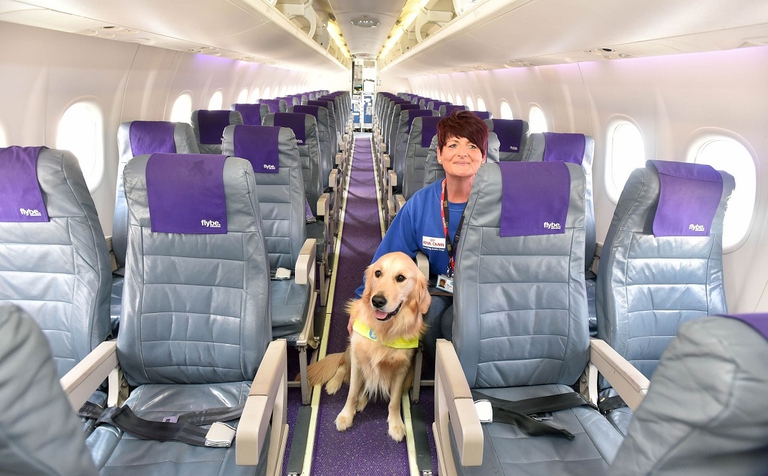Cane a bordo di un aereo