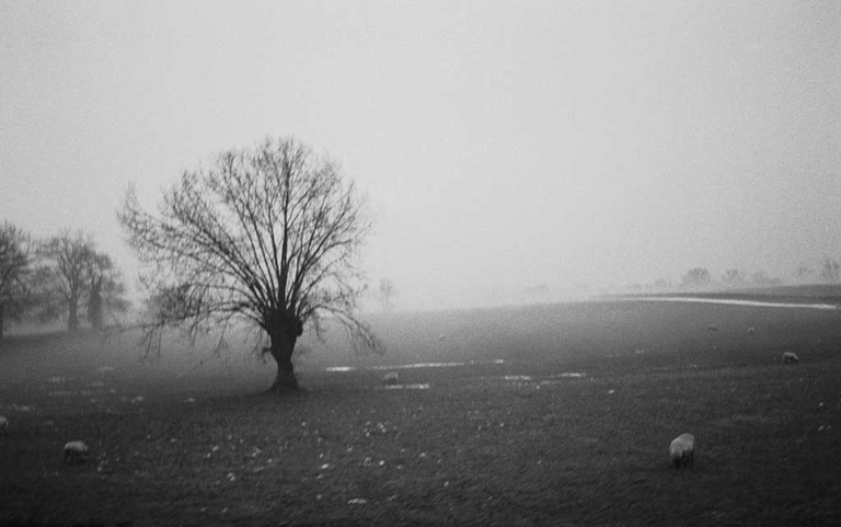 Paesaggio triste paesaggio triste, tristezza