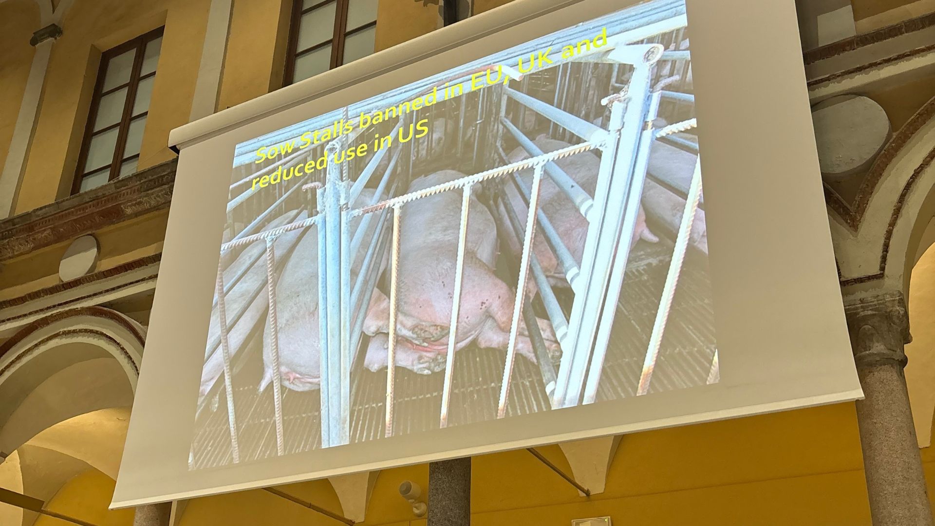 Presentazione Peter Singer