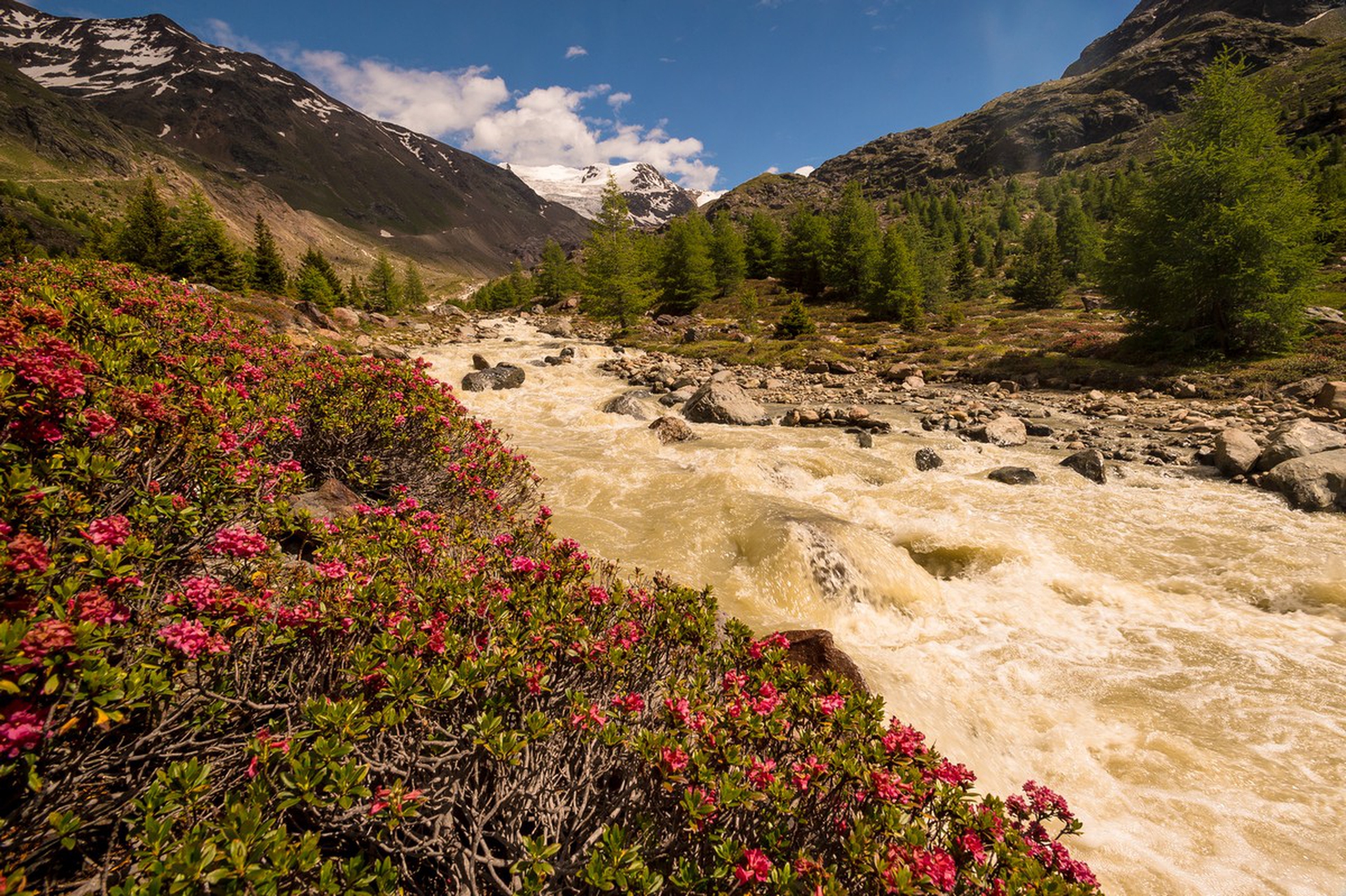 Valfurva, Parco Nazionale dello Stelvio