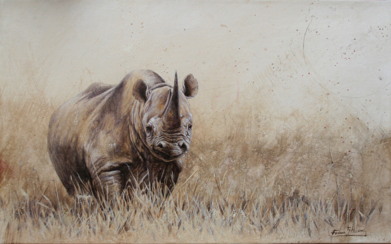 Artist 4 Rhino in mostra a Genova, le opere - LifeGate