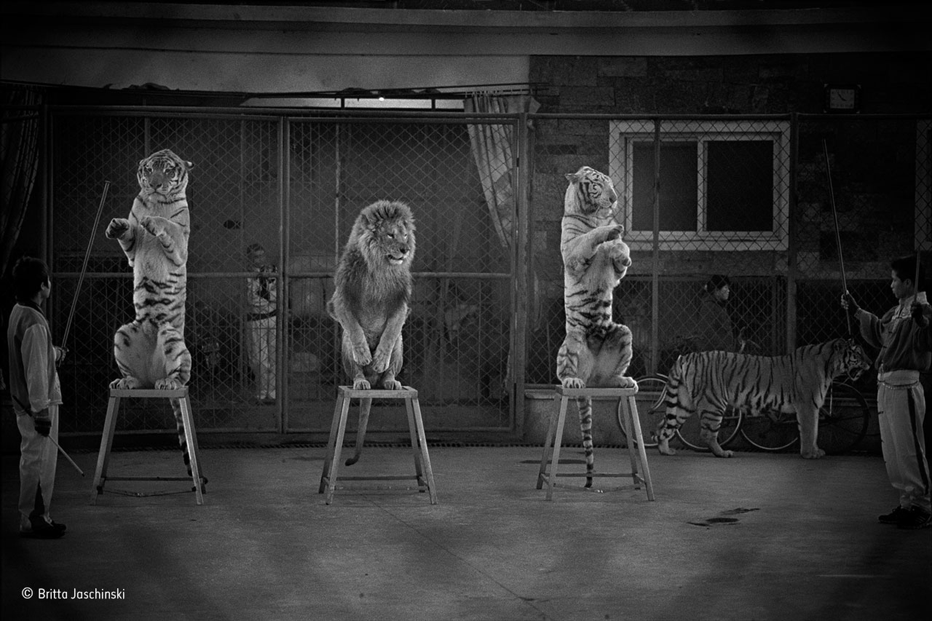 Britta-Jaschinski_ Photojournalism, Single Image Award