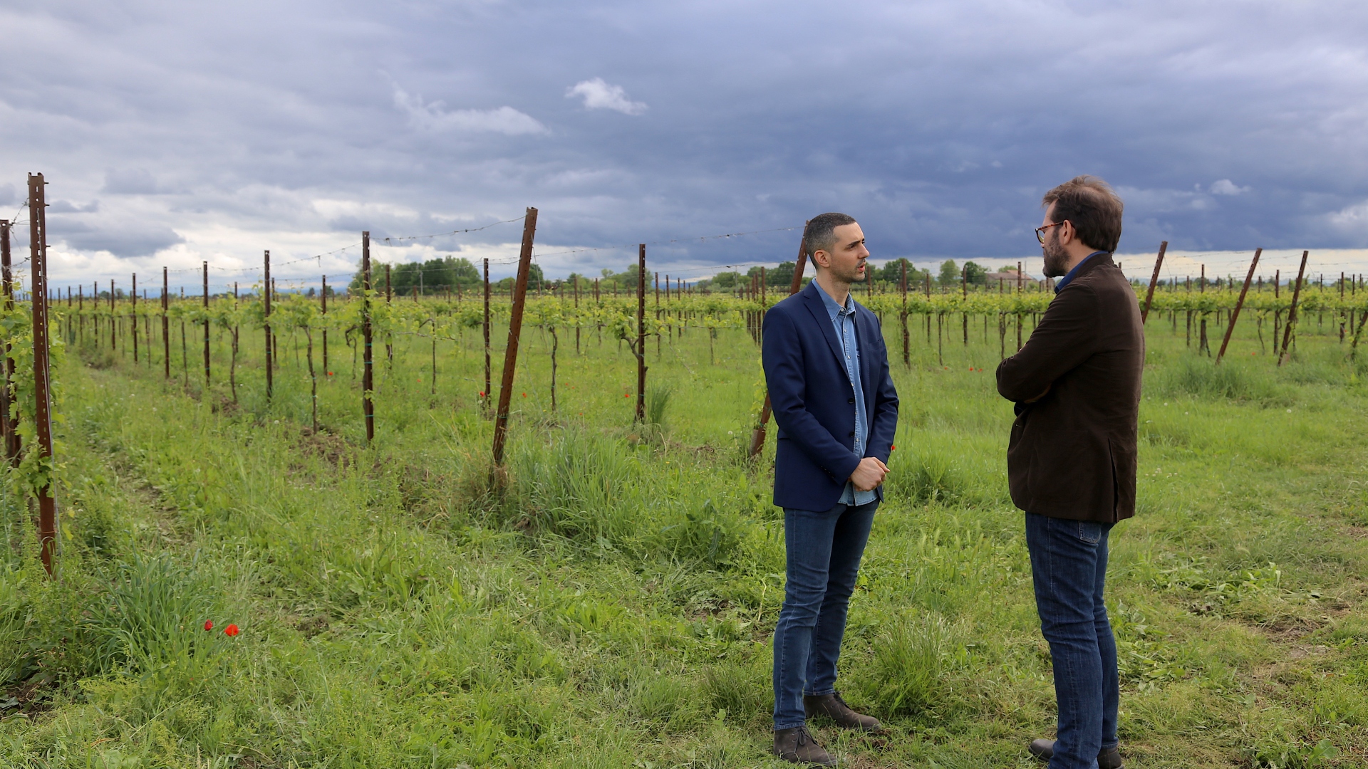 Edoardo Fumagalli e Andrea Bezzecchi in vigna