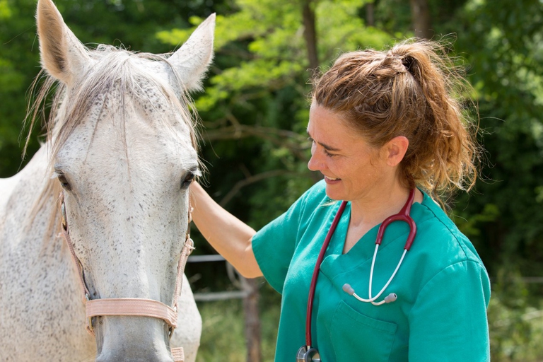 associazione donne medico veterinario