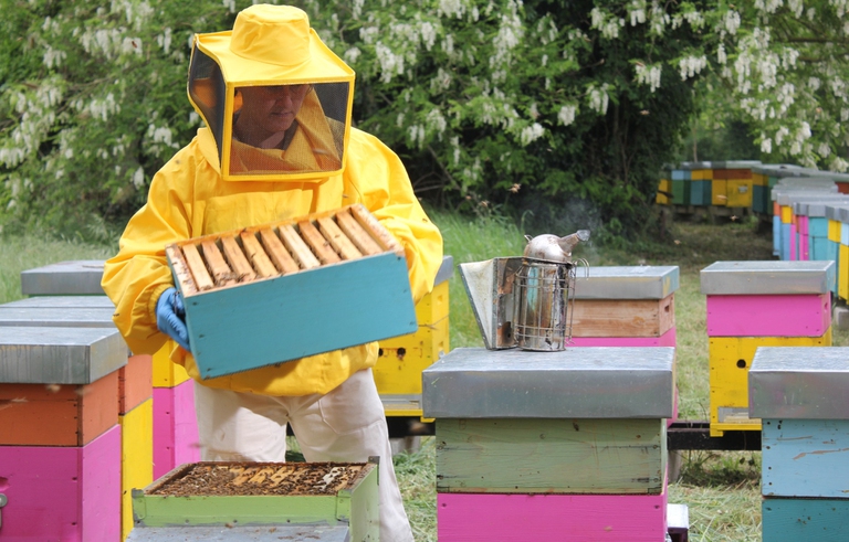 Ogni ape conta, le voci del progetto di Coop che tutela la biodiversità
