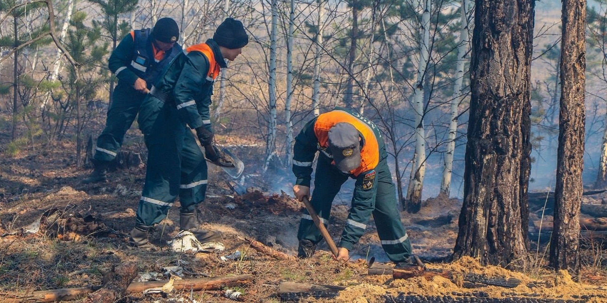 Лесные пожары мчс. МЧС России Курганская область. Природные пожары. Пожары лесов. Ликвидация лесных пожаров МЧС.