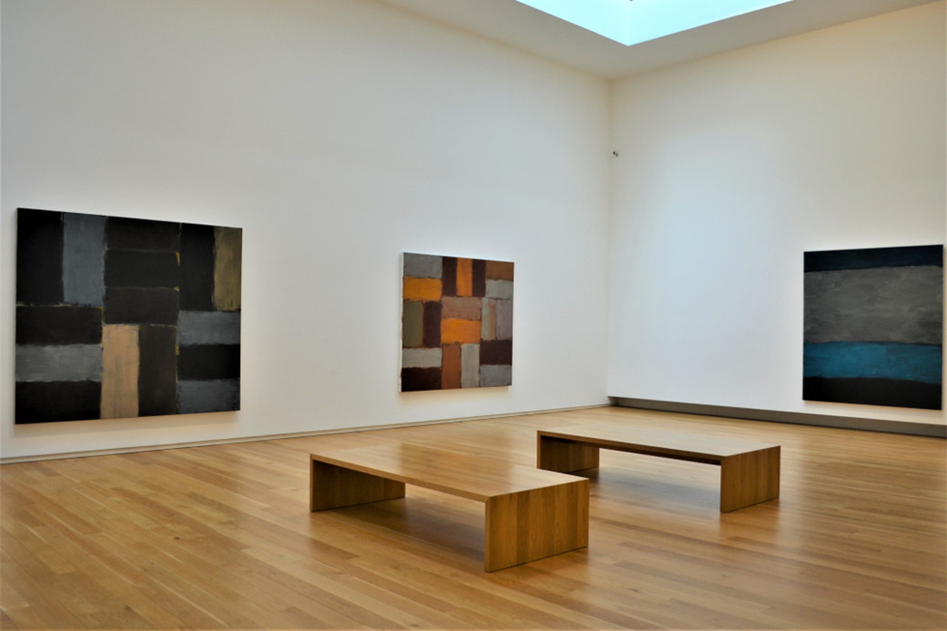 Un'ala della Hugh line di Dublino è dedicata a Sean Scully