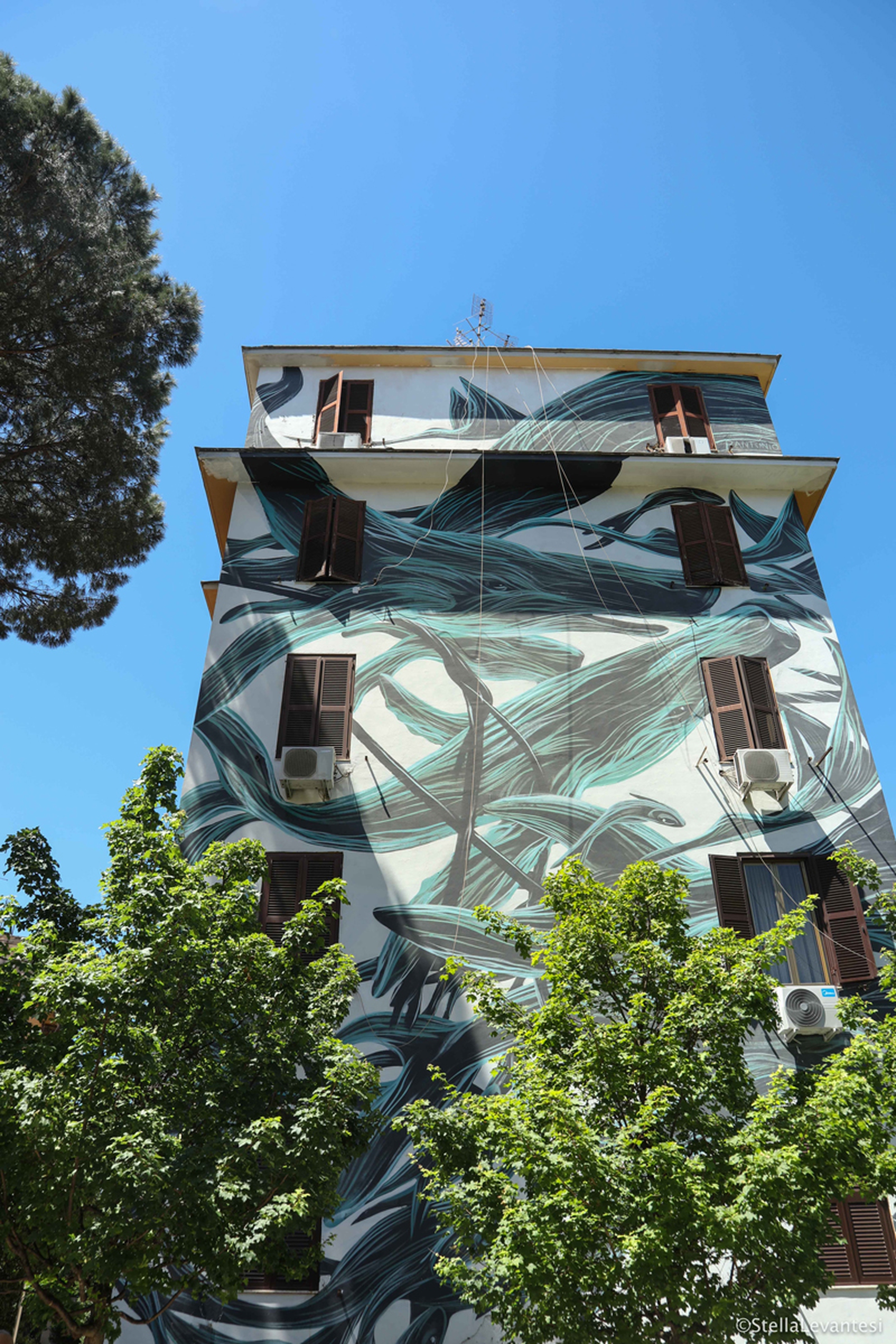 tor-marancia-pantonio