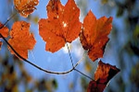 Ottobre verde, caccia alle fonti rinnovabili