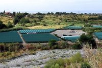 Glifosato, dalla Calabria niente più soldi alle aziende agricole che lo usano