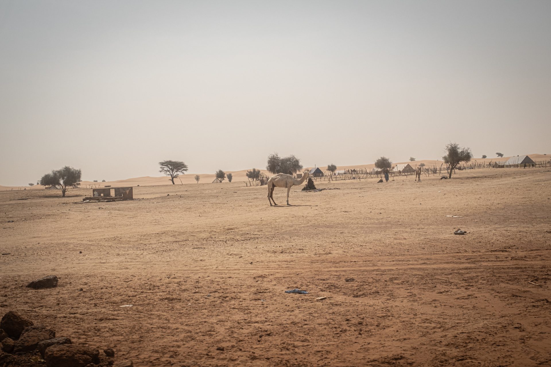 Confini sensibili. Lo scudo contro l’instabilità di Senegal e Mauritania