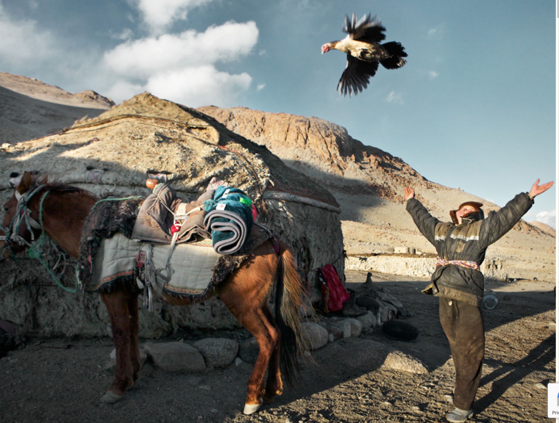 20 - Juma Boi II - Matthieu Paley