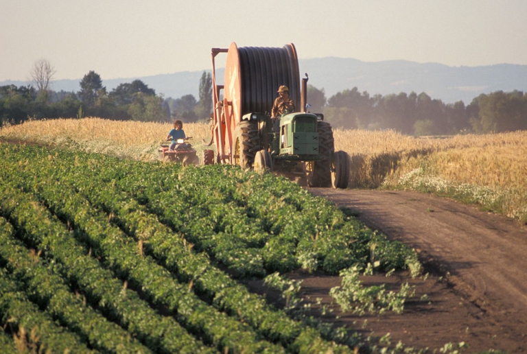 agricoltura biologica