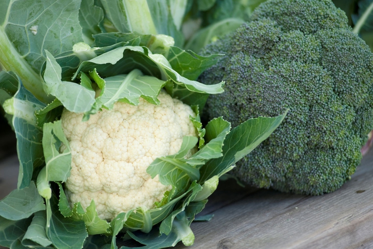 cavolfiori e broccoletti contro l'ulcera