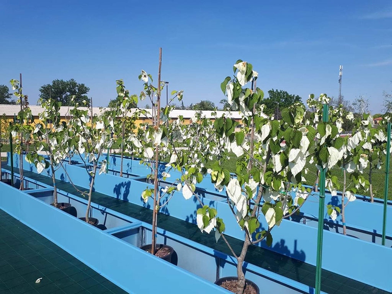 Nell’Italia contaminata, Casale Monferrato sarà la prima città libera dall’amianto in Italia entro il 2020