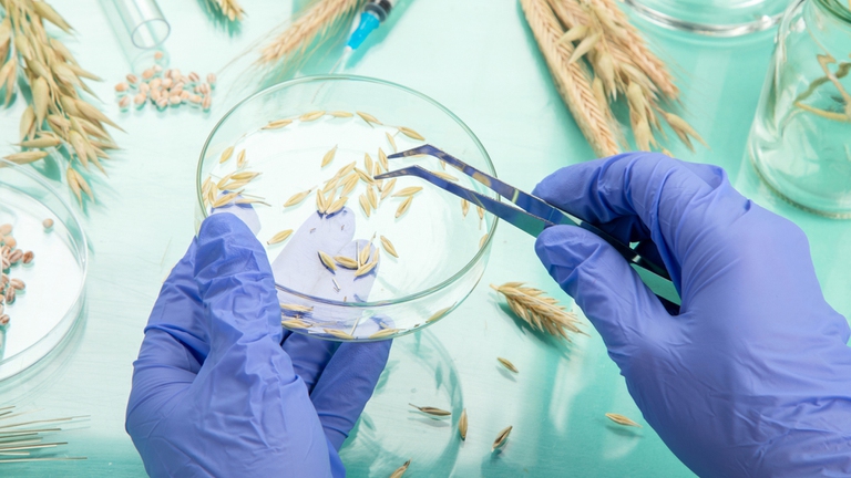 deregolamentazione nuovi ogm