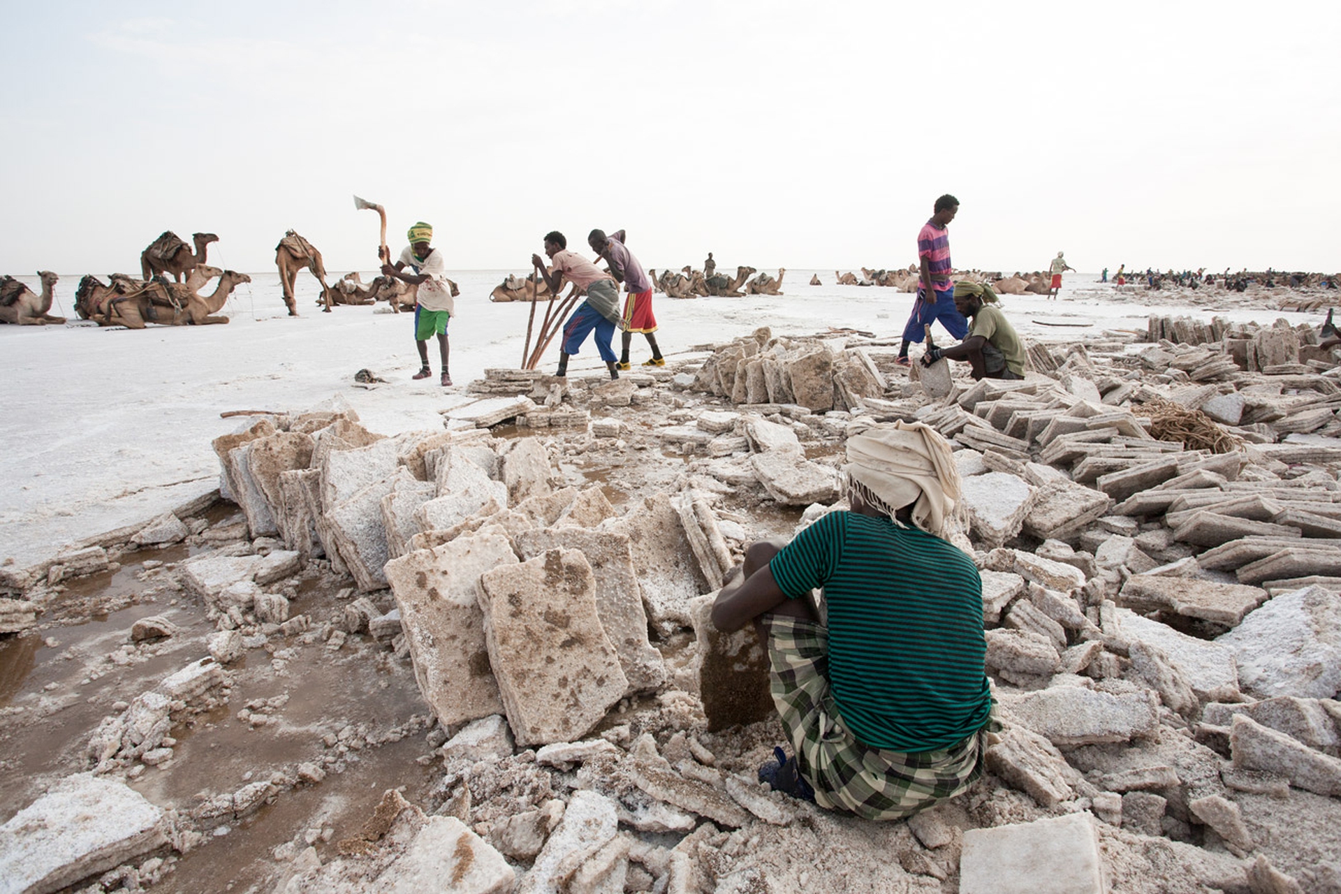 Carovana errante, lastre di sale