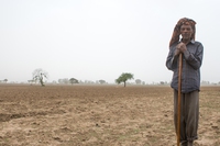 Il clima affamerà milioni di persone. L’allarme della Fao