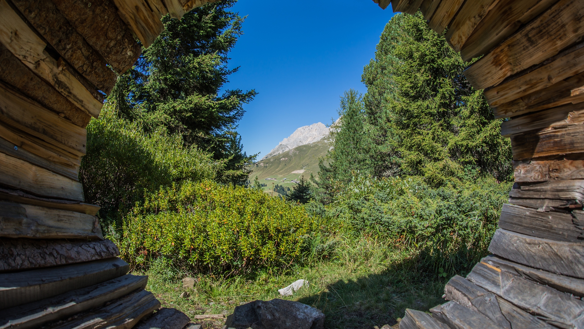 Messa a fuoco sul Latemar 2 - Marco Nones © Tommaso Prugnola_Trentino Marketing